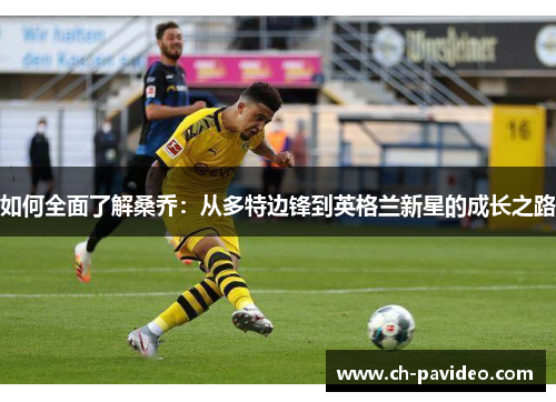 如何全面了解桑乔：从多特边锋到英格兰新星的成长之路