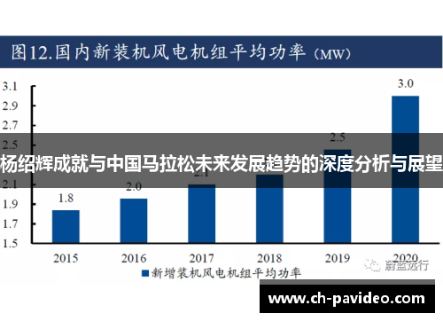 杨绍辉成就与中国马拉松未来发展趋势的深度分析与展望