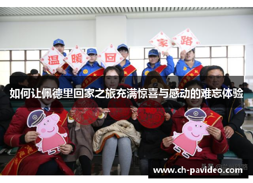 如何让佩德里回家之旅充满惊喜与感动的难忘体验