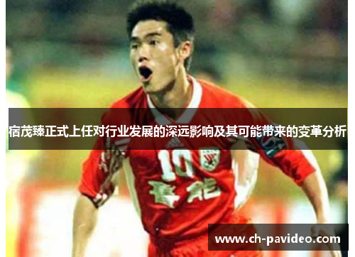 宿茂臻正式上任对行业发展的深远影响及其可能带来的变革分析