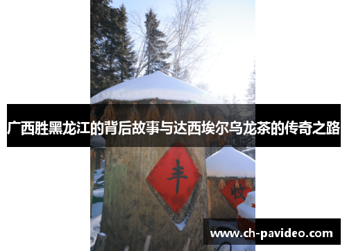 广西胜黑龙江的背后故事与达西埃尔乌龙茶的传奇之路 广西胜黑龙江的背后故事与达西埃尔乌龙茶的传奇之路