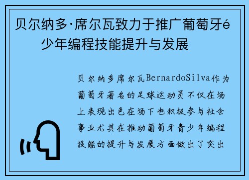 贝尔纳多·席尔瓦致力于推广葡萄牙青少年编程技能提升与发展 贝尔纳多·席尔瓦致力于推广葡萄牙青少年编程技能提升与发展