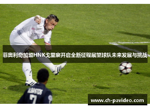 菲奥利奇加盟HNK戈里察开启全新征程展望球队未来发展与挑战 菲奥利奇加盟HNK戈里察开启全新征程展望球队未来发展与挑战